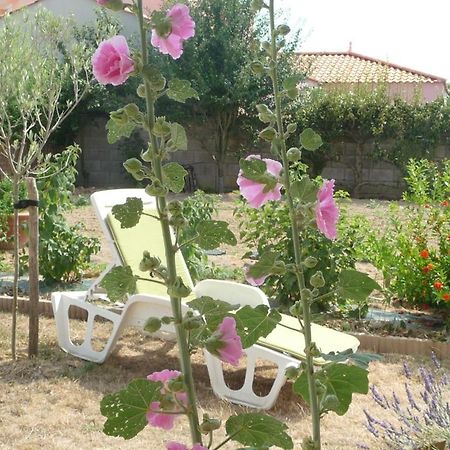 Chambre D'Hote Fleur De Potager Les Sables-dʼOlonne Kültér fotó
