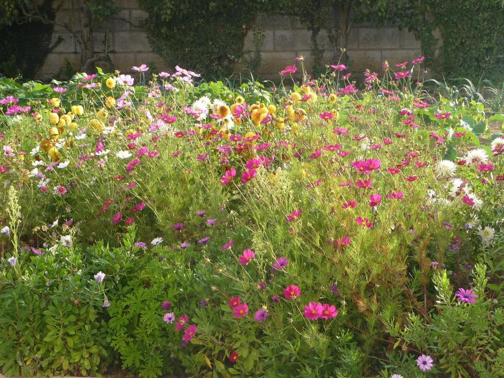 Chambre D'Hote Fleur De Potager Les Sables-dʼOlonne Kültér fotó