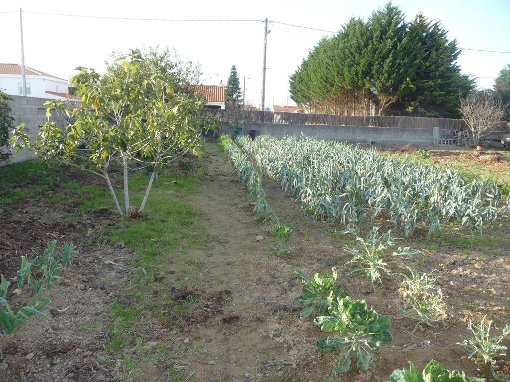 Chambre D'Hote Fleur De Potager Les Sables-dʼOlonne Kültér fotó
