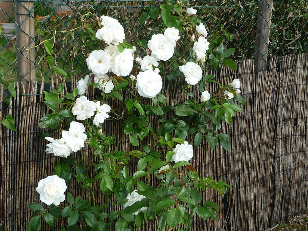Chambre D'Hote Fleur De Potager Les Sables-dʼOlonne Kültér fotó