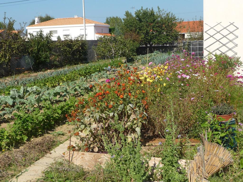Chambre D'Hote Fleur De Potager Les Sables-dʼOlonne Kültér fotó